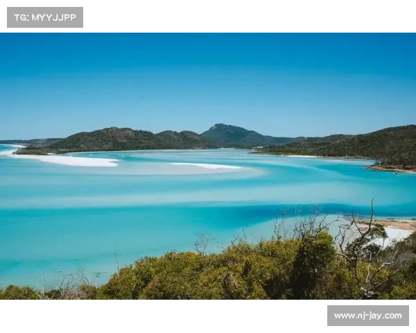 摩顿湾周边生态探秘与旅游发展前景分析 摩顿湾周边生态探秘与旅游发展前景分析